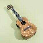 Benefits of Student Ukulele Quantity Of 10 School