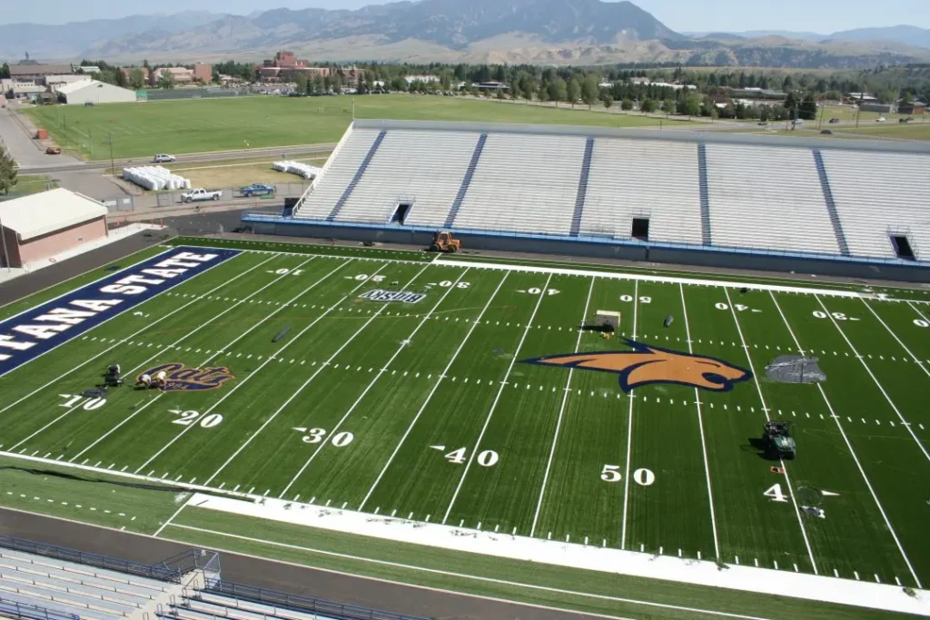 Albany State University Football